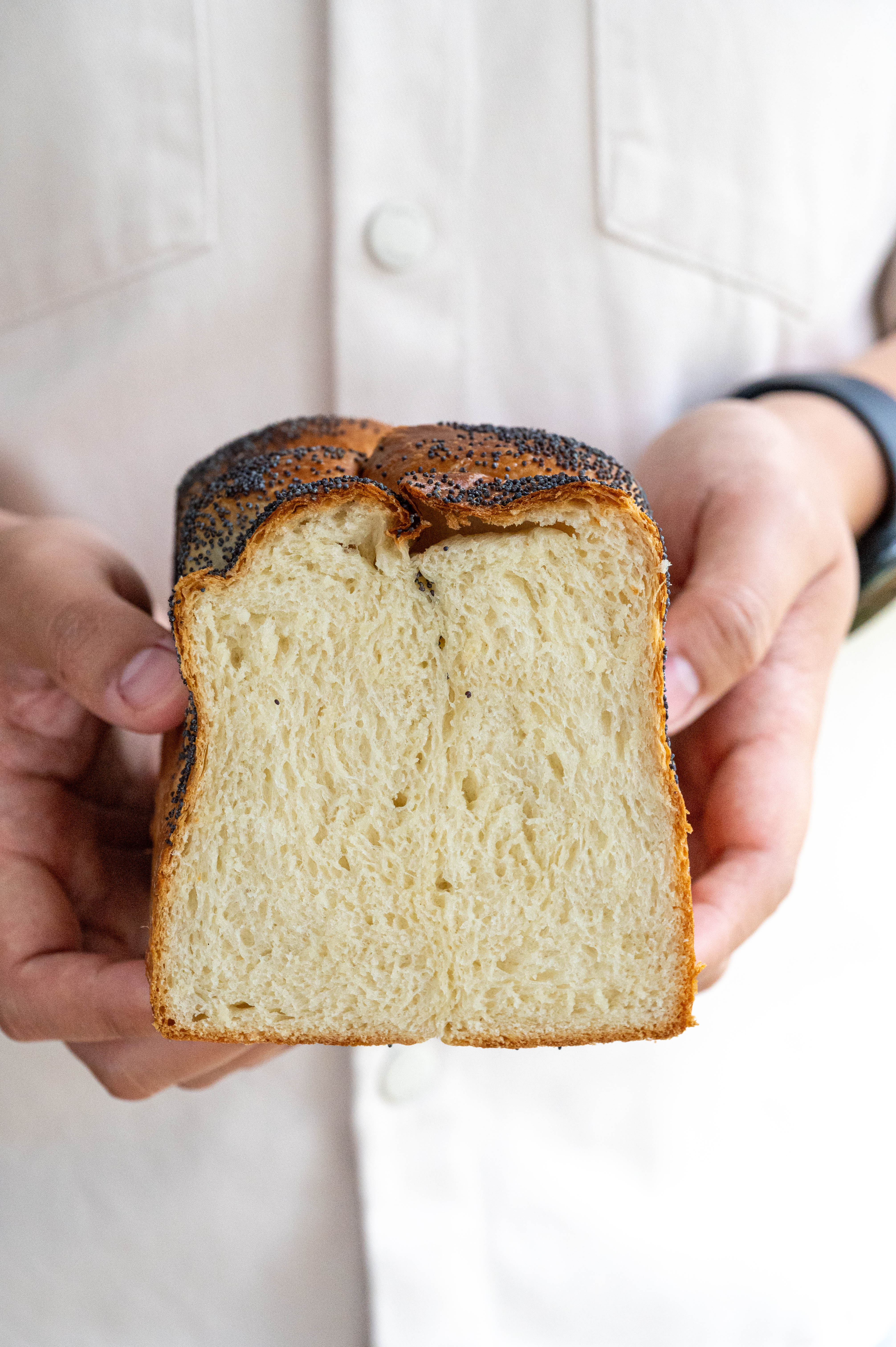Mohn-Brioche