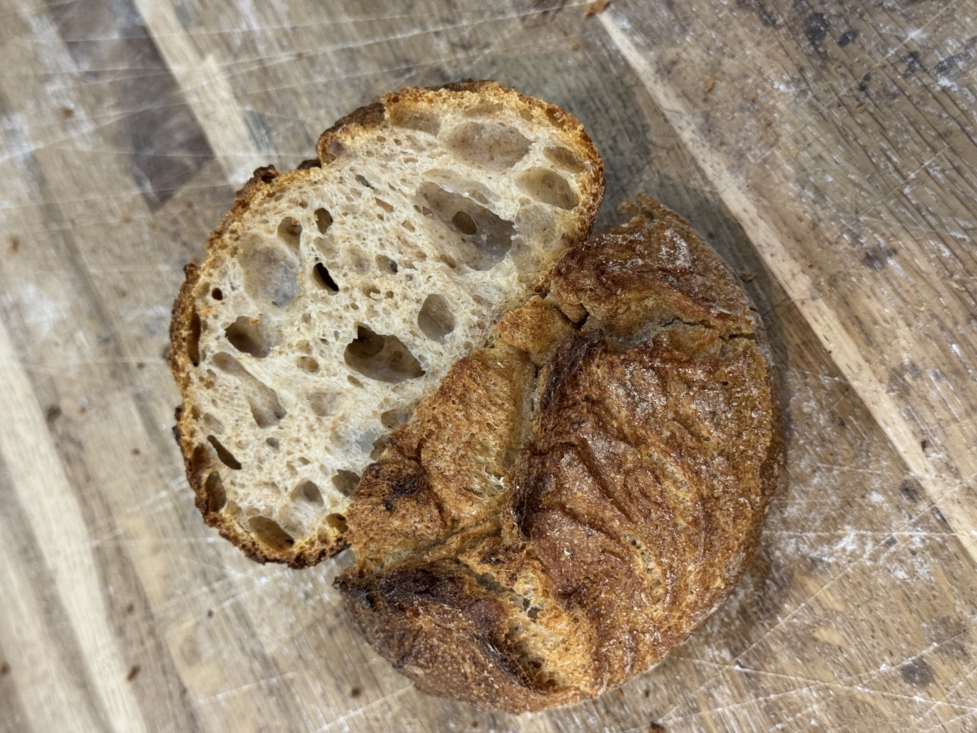 Hausbrötchen
