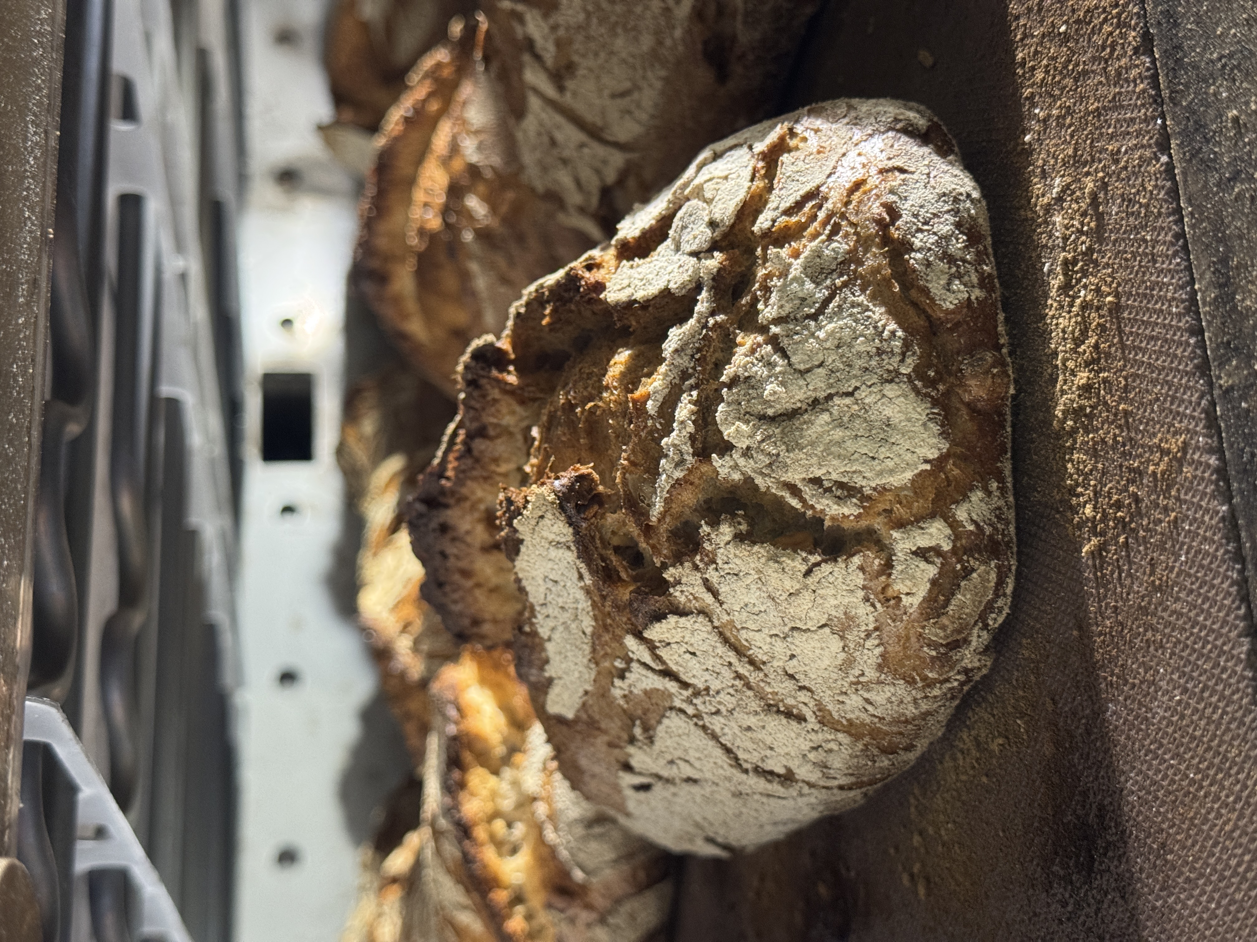 FP Walnussbrot